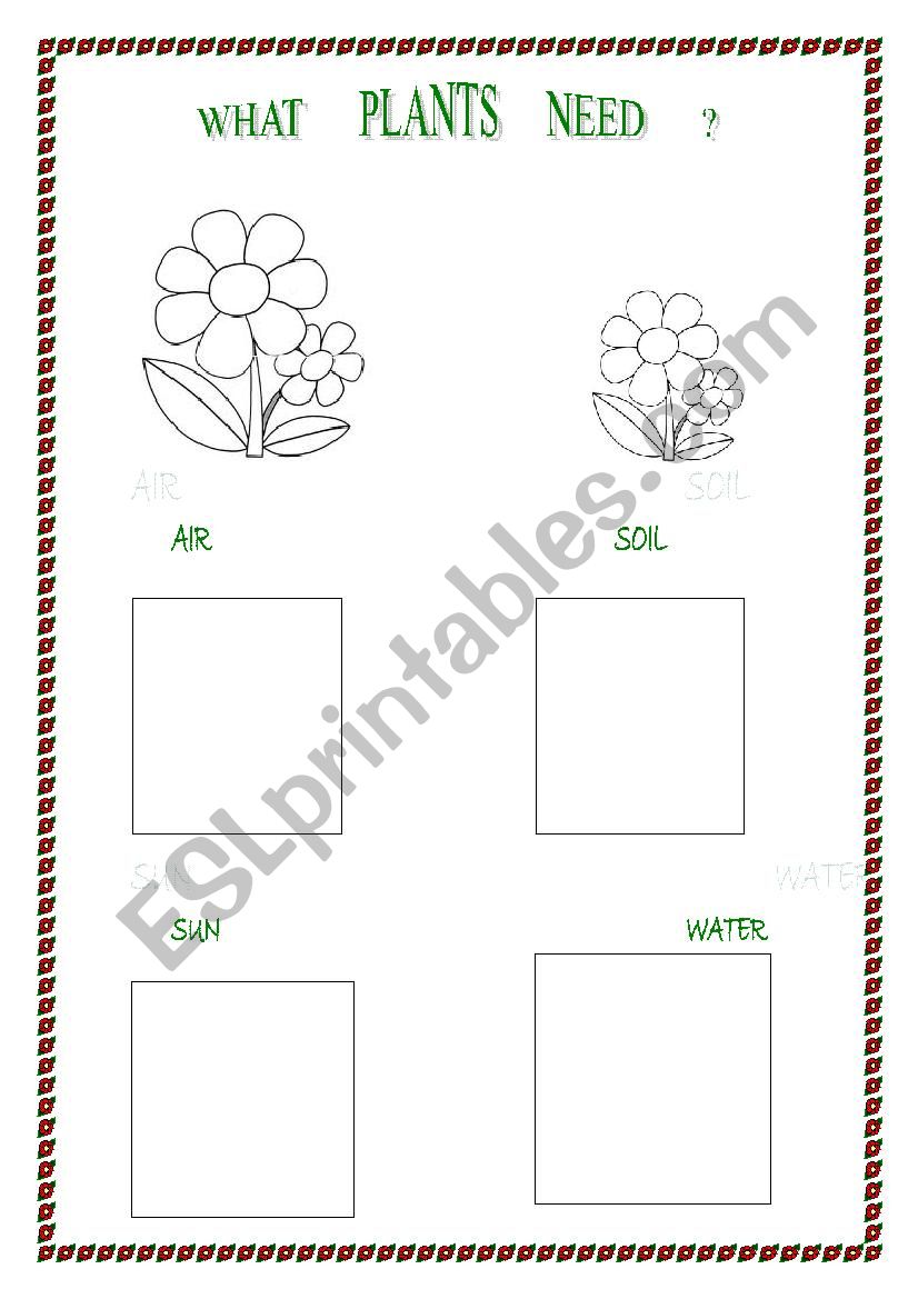WHAT PLANTS NEED B-W worksheet