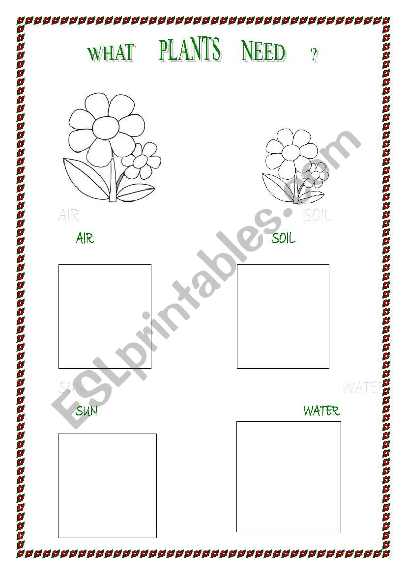 WHAT PLANTS NEED B-W worksheet