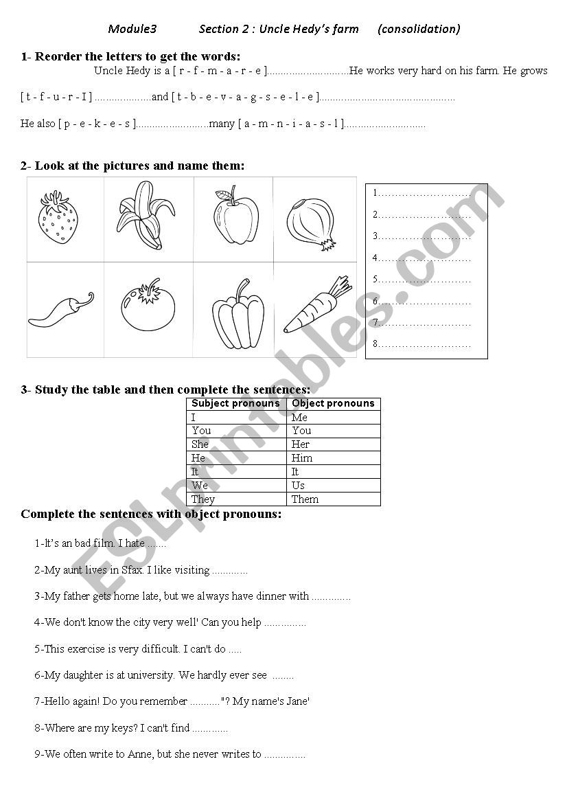 uncle Hedys farm worksheet