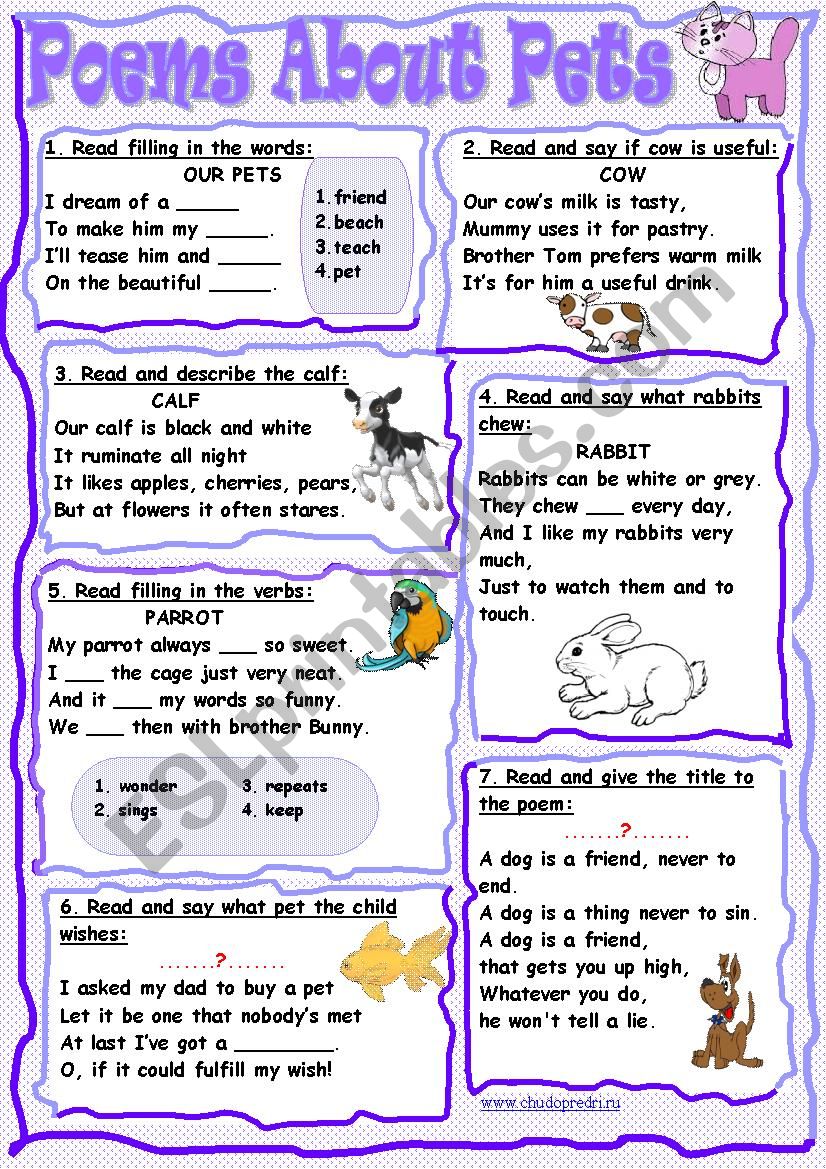 Poems About Pets worksheet