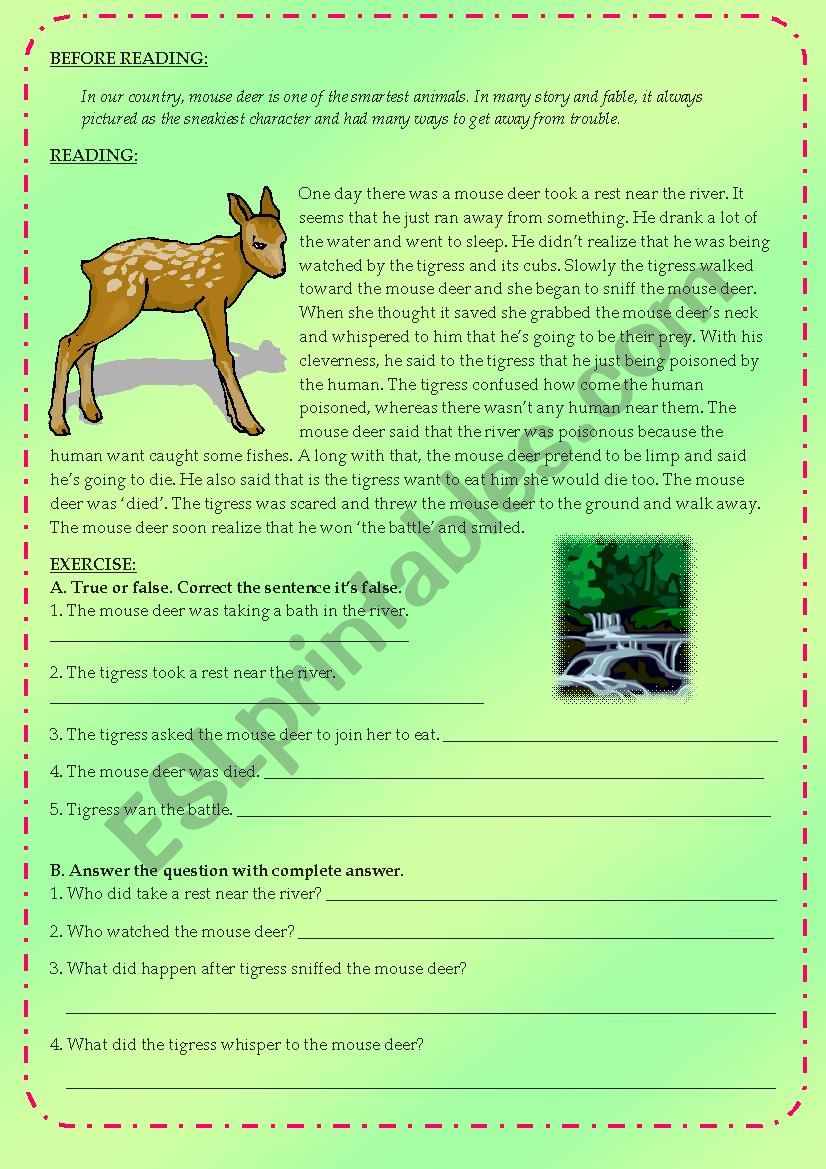 MOUSE DEER Reading Comprehension