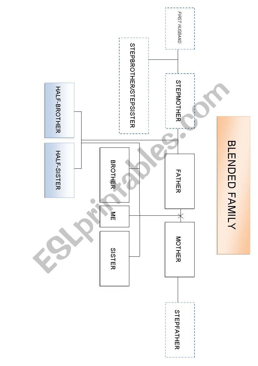 BLENDED FAMILY - FAMILY TREE worksheet