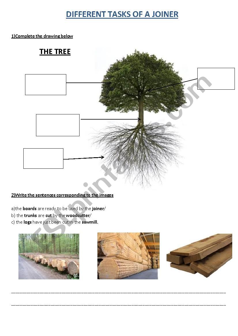 Joinery worksheet