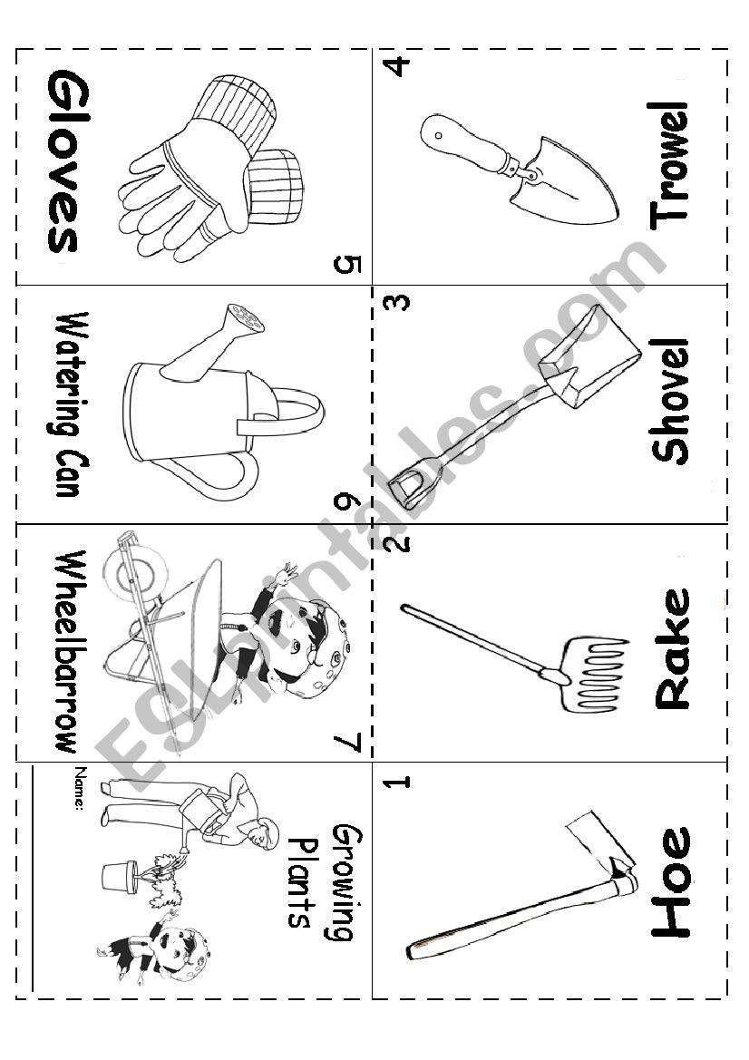 Growing Plants Mini Book worksheet