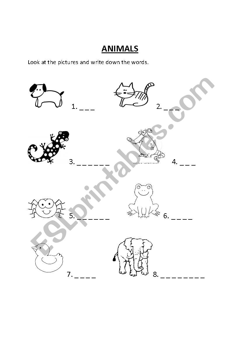 ANIMALS Spelling worksheet