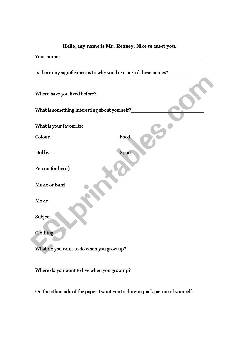 Nice to Meet You worksheet