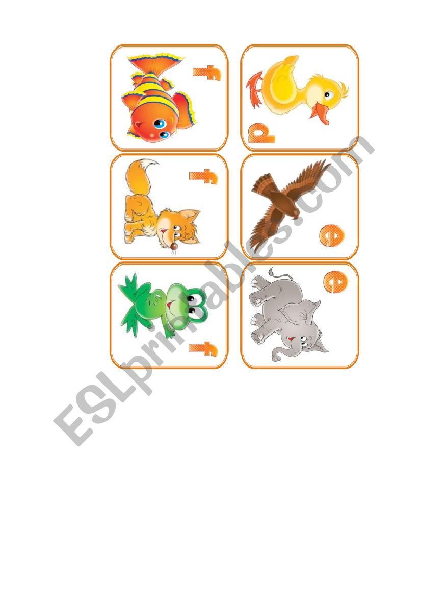 animals flashcards. part 4 worksheet