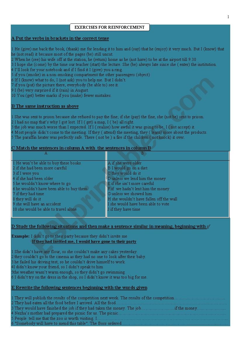 Reinforcement Exercises  worksheet