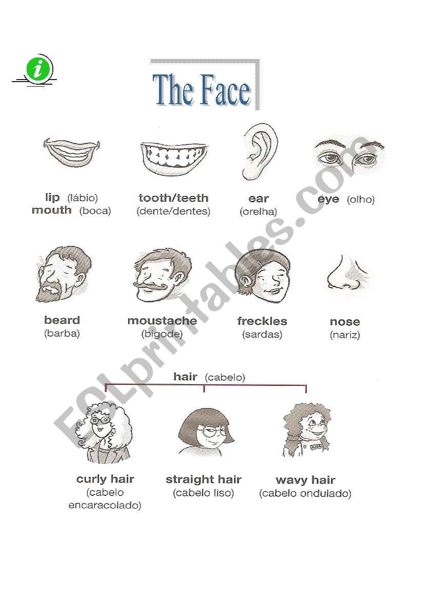 The Face worksheet