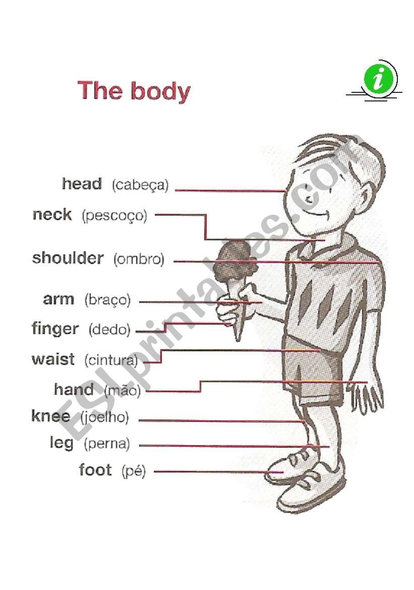 Parts of the Body worksheet