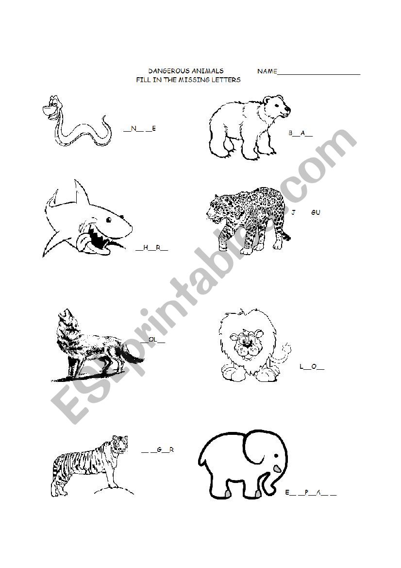 Dangerous Animals  worksheet