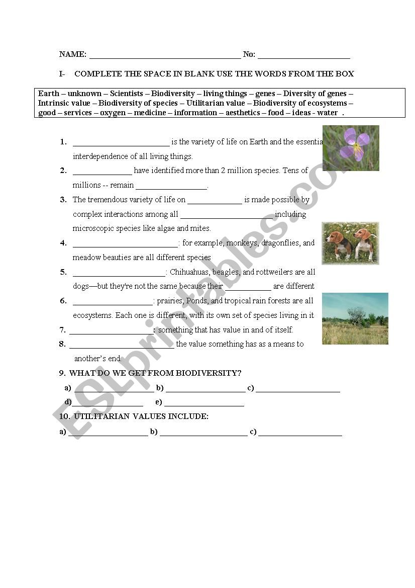 Biodiversity worksheet