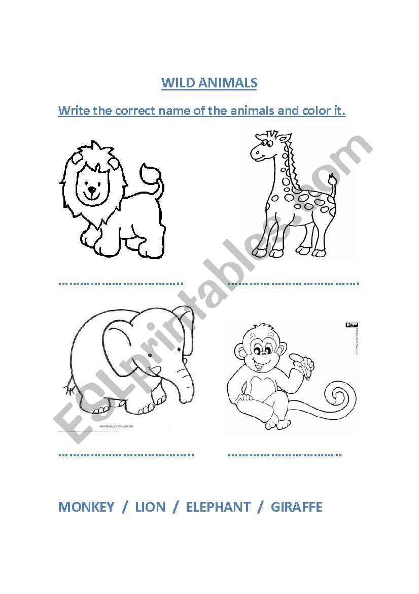 WILD ANIMALS worksheet