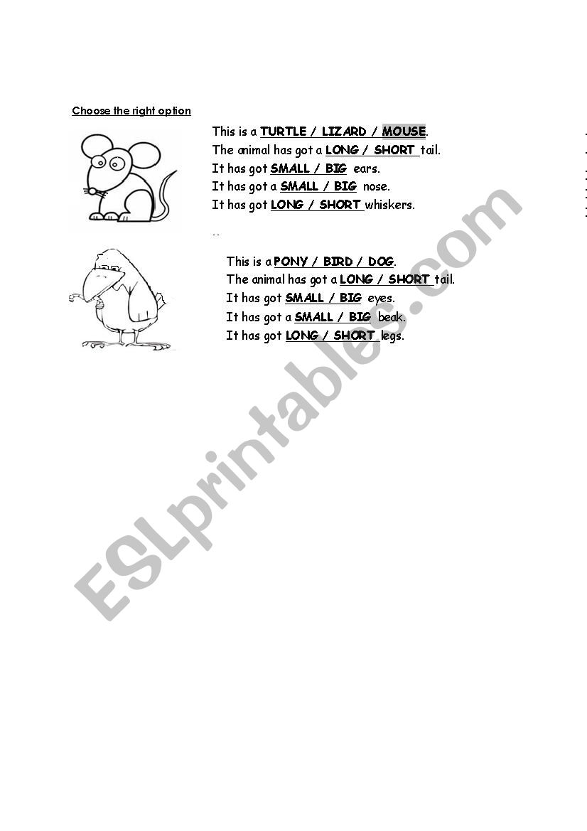 Animal description worksheet