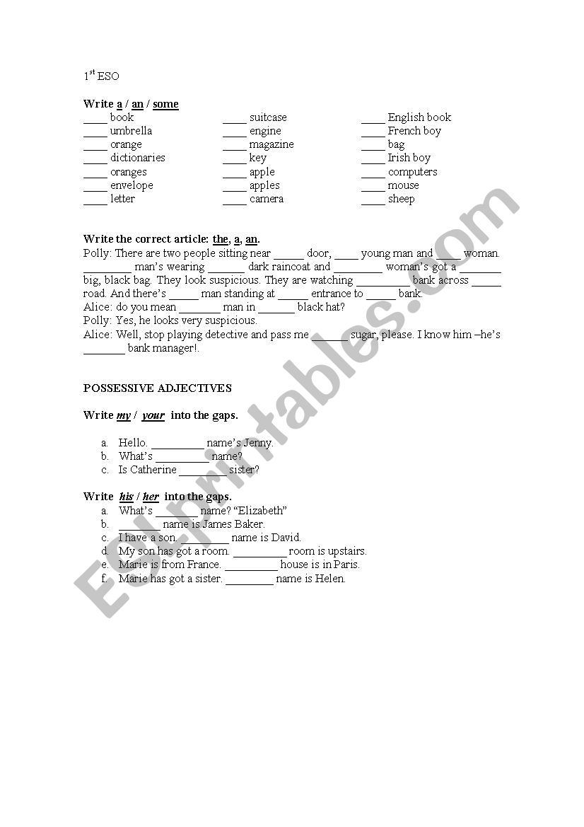 Revision of an, an, the, some and the possessive adjectives