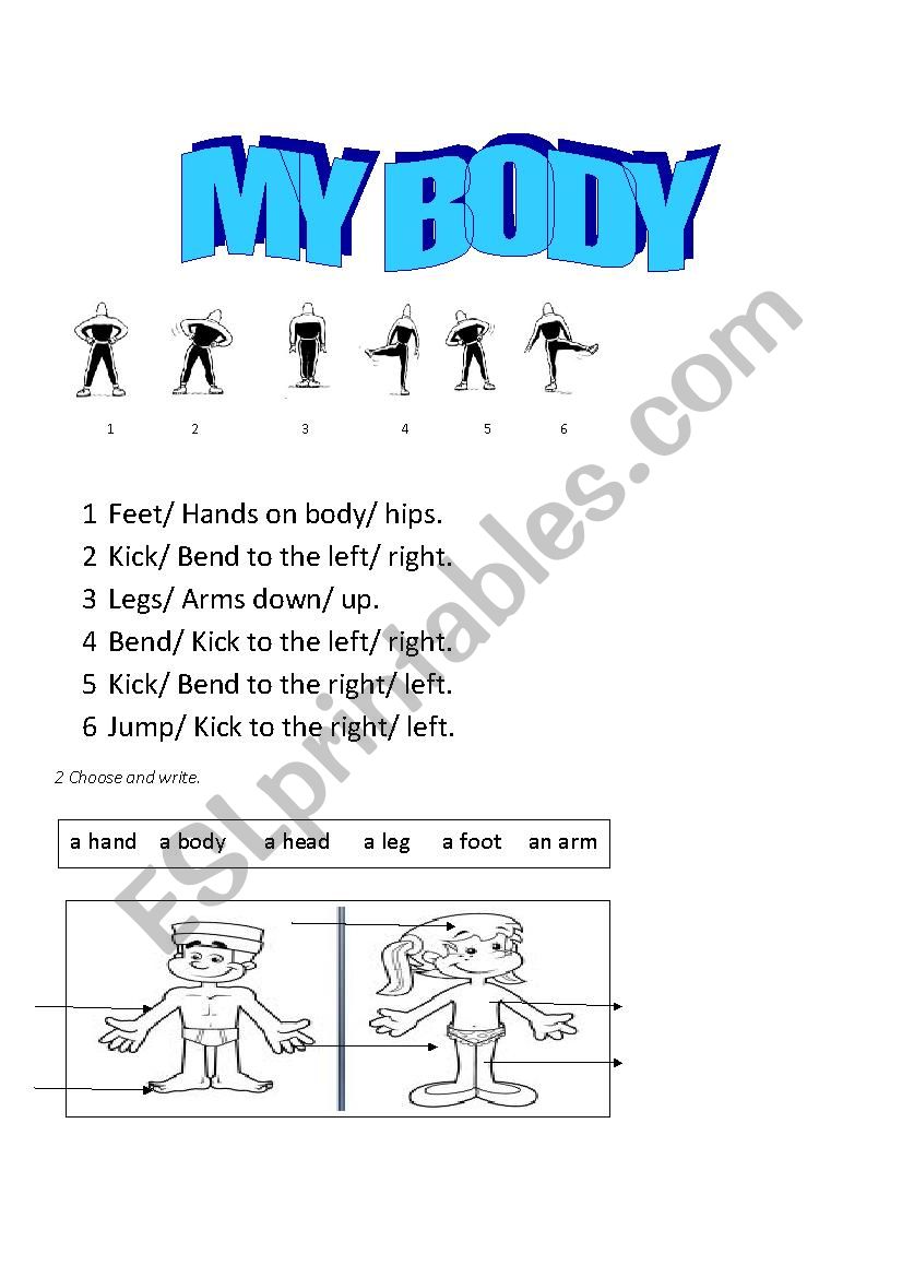 My body worksheet