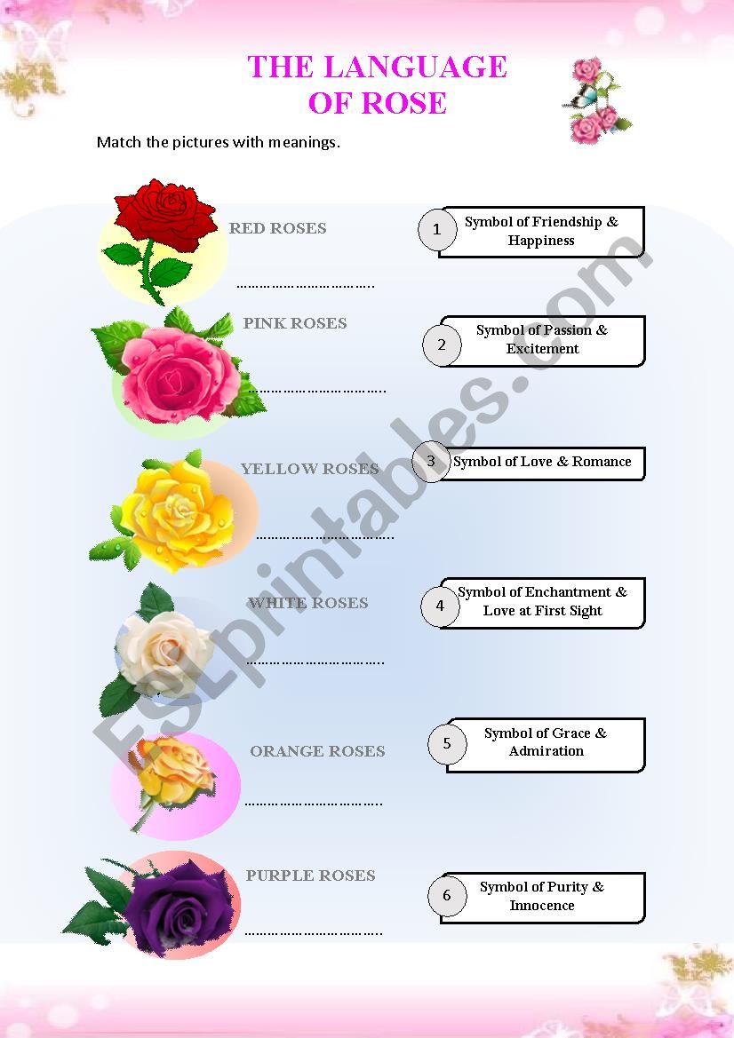 Rose worksheet