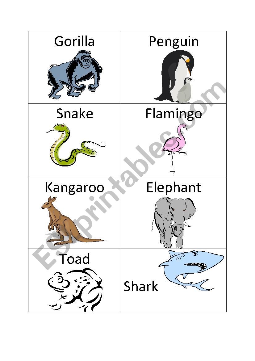 animal flash cards worksheet