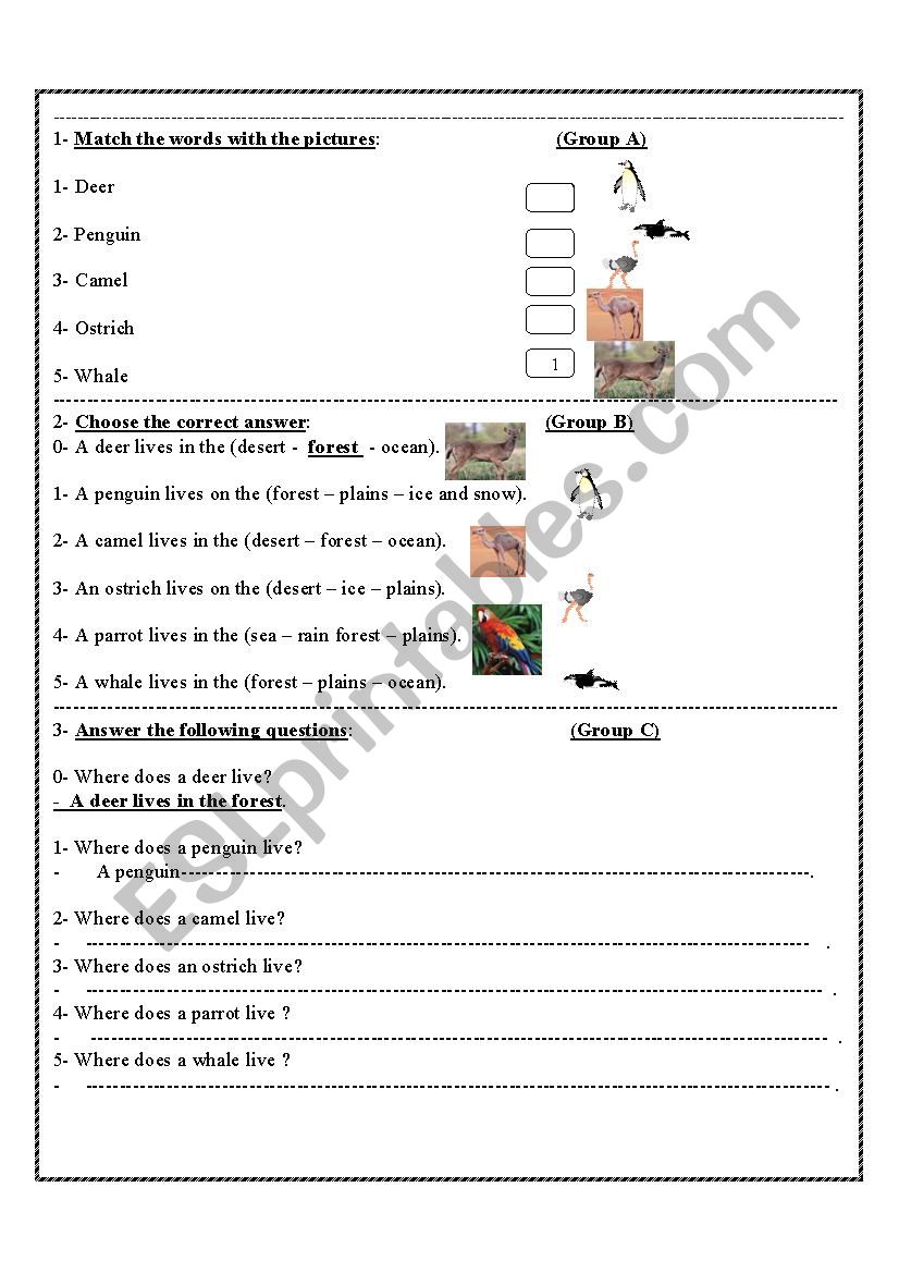 animals worksheet