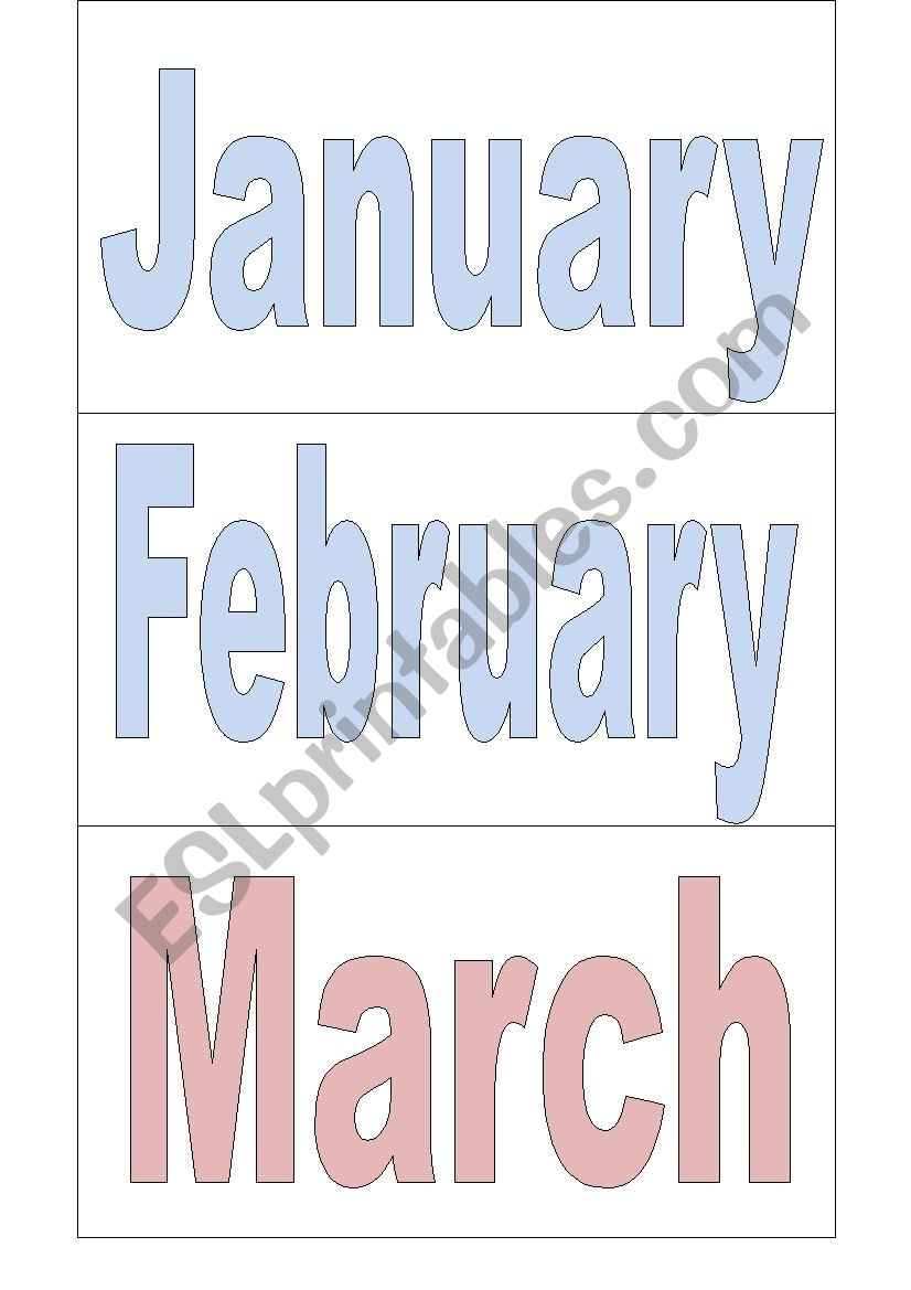 months of the year worksheet