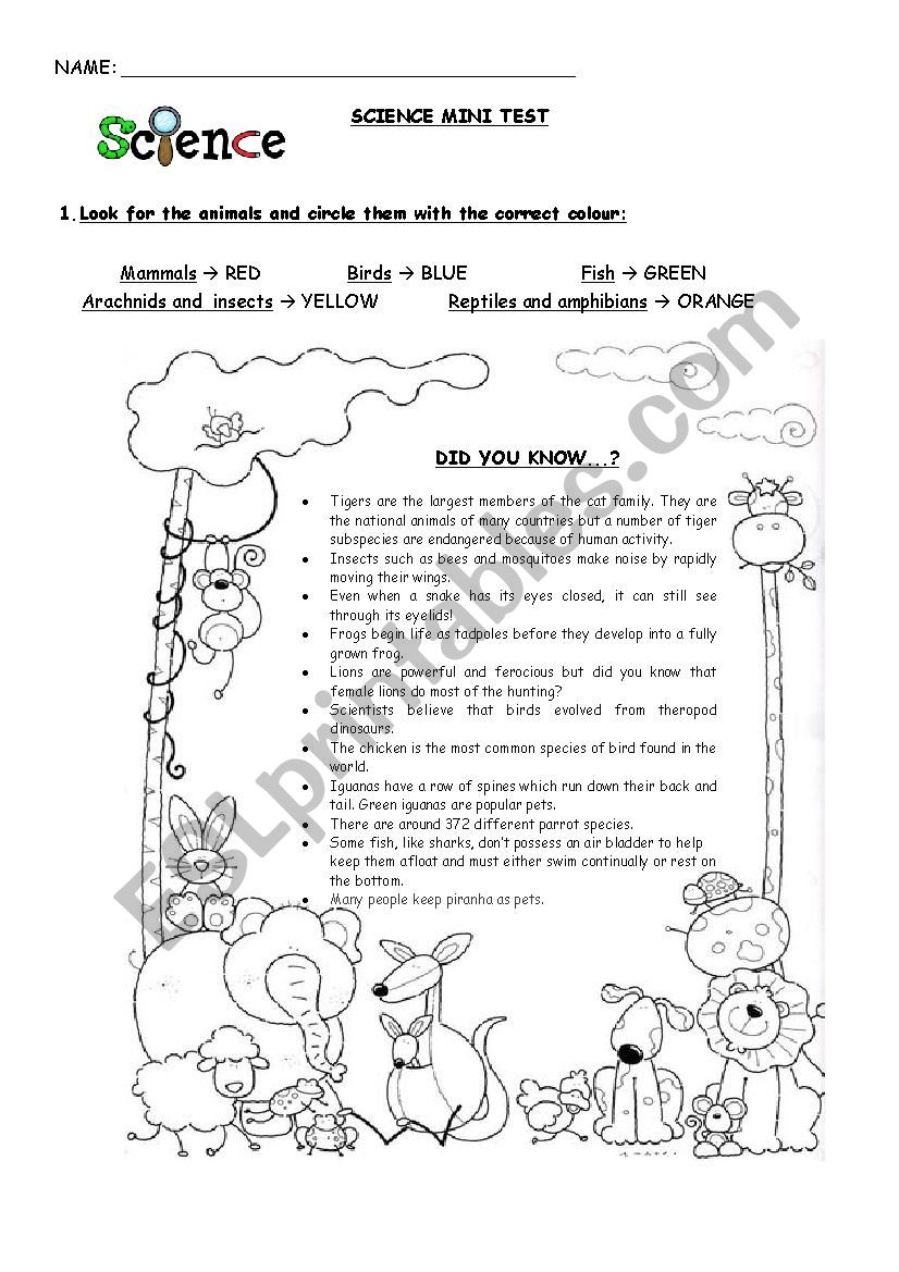 science mini test on animals worksheet