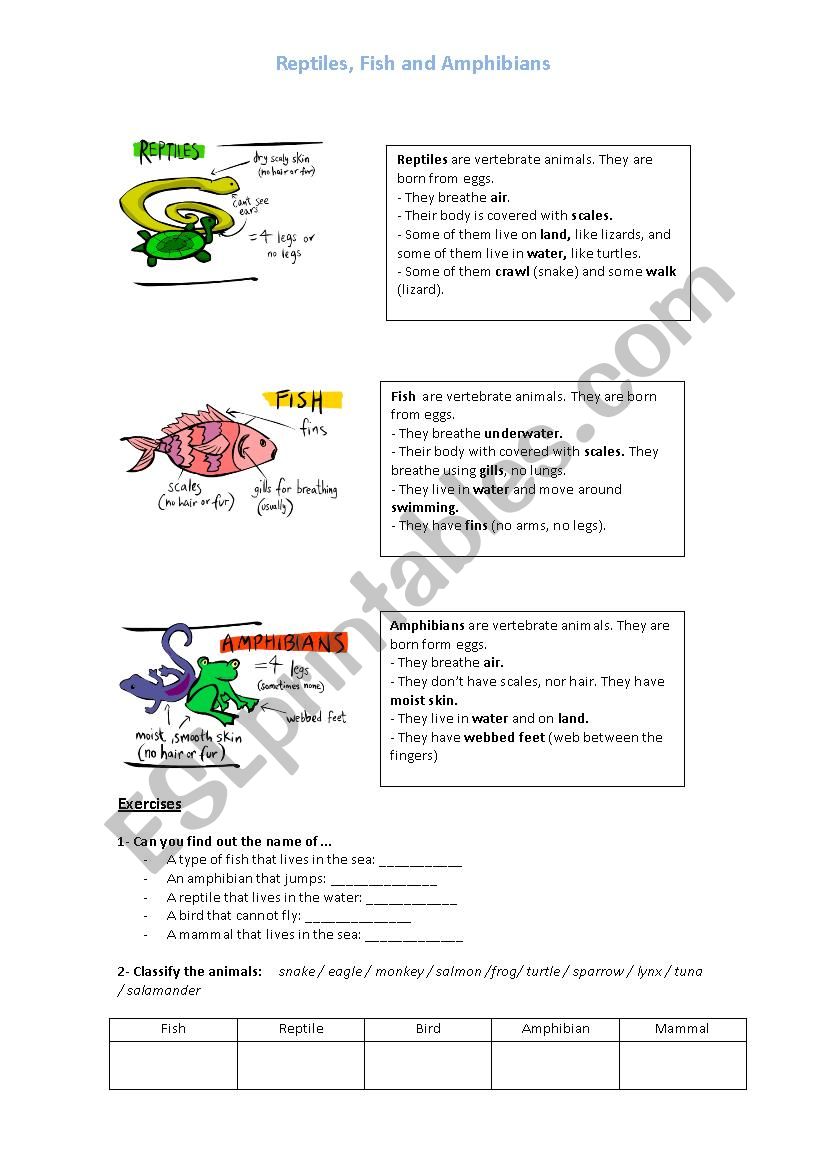 Reptiles, Fish and Amphibians worksheet