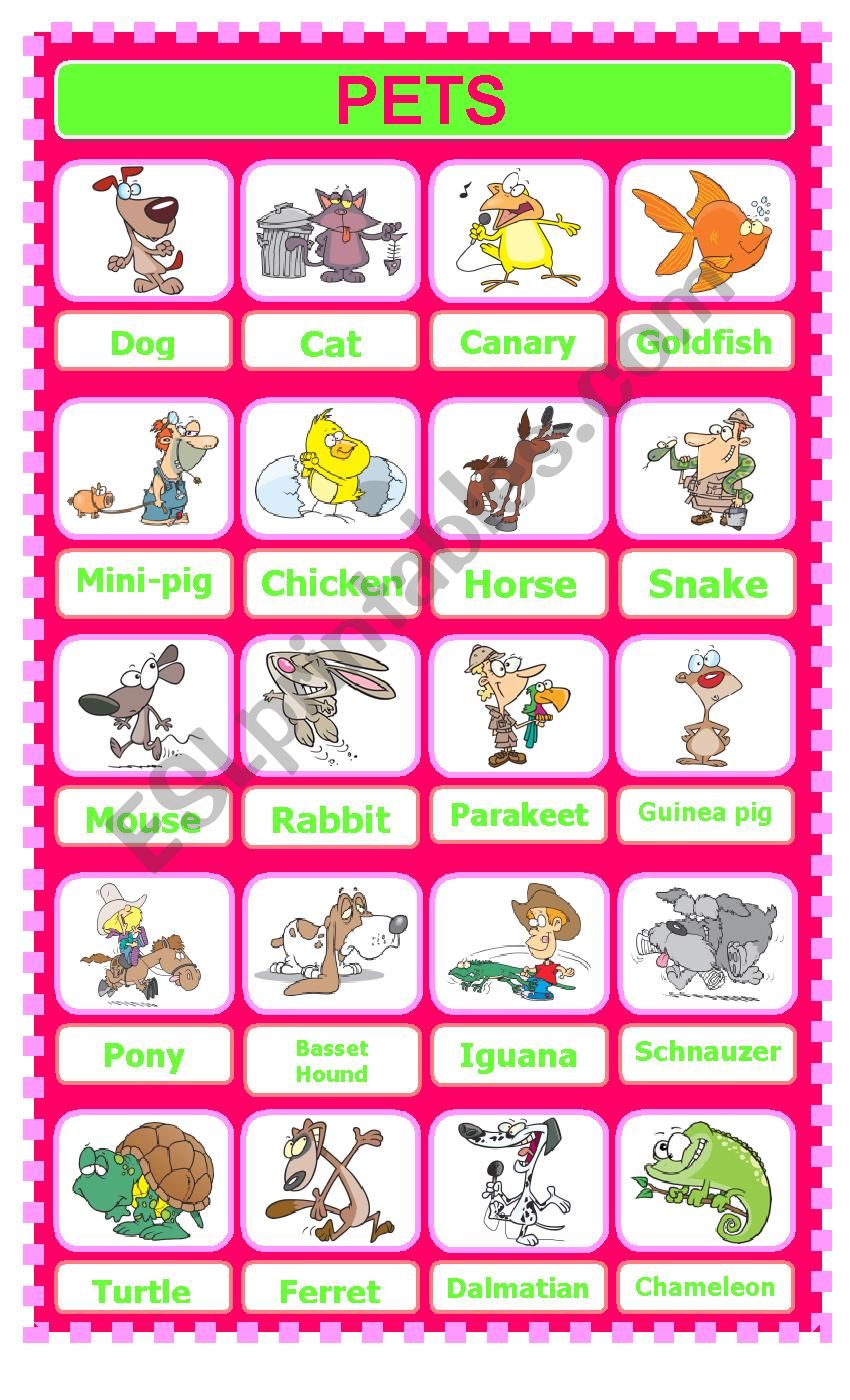 Pets Pictionary worksheet