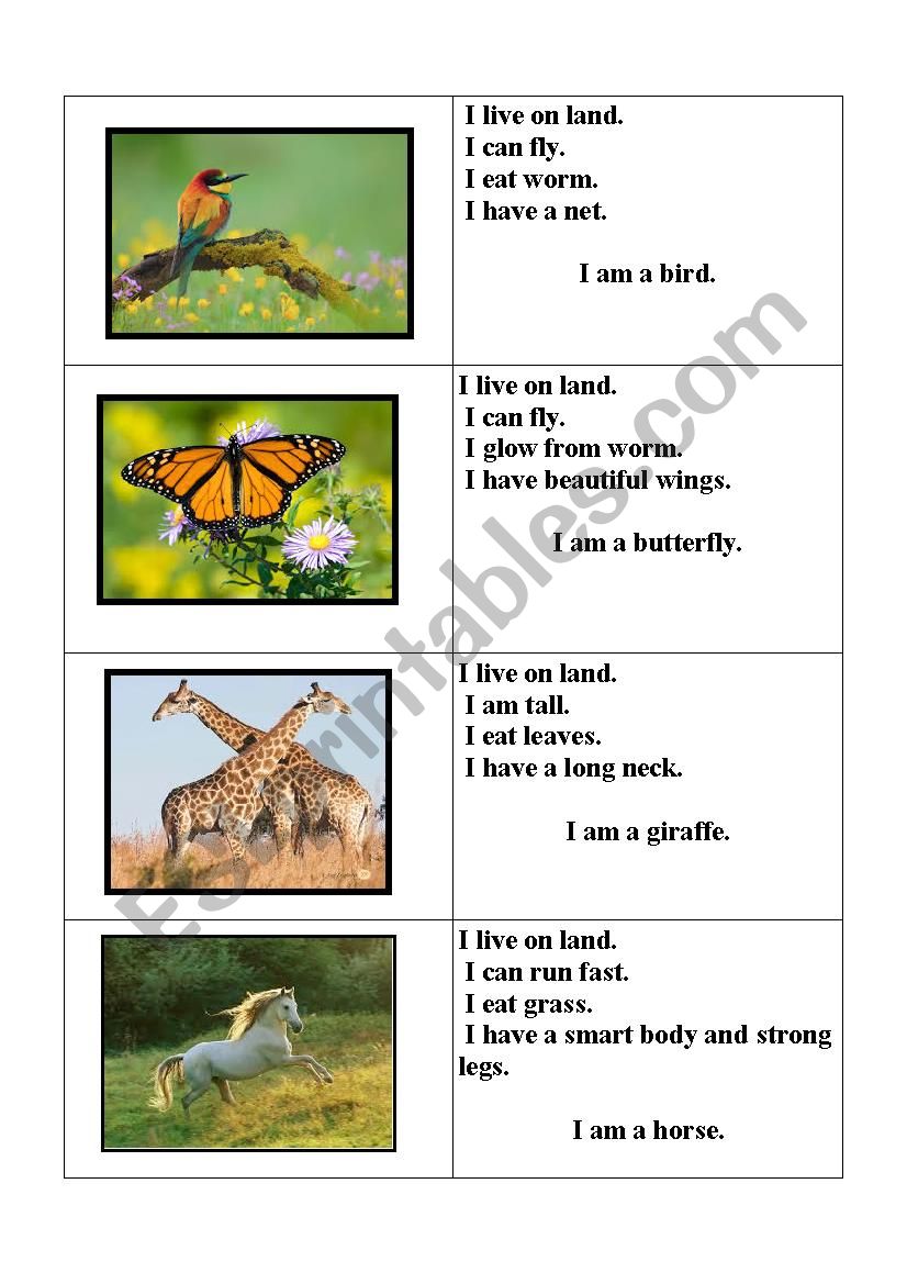 Animals worksheet