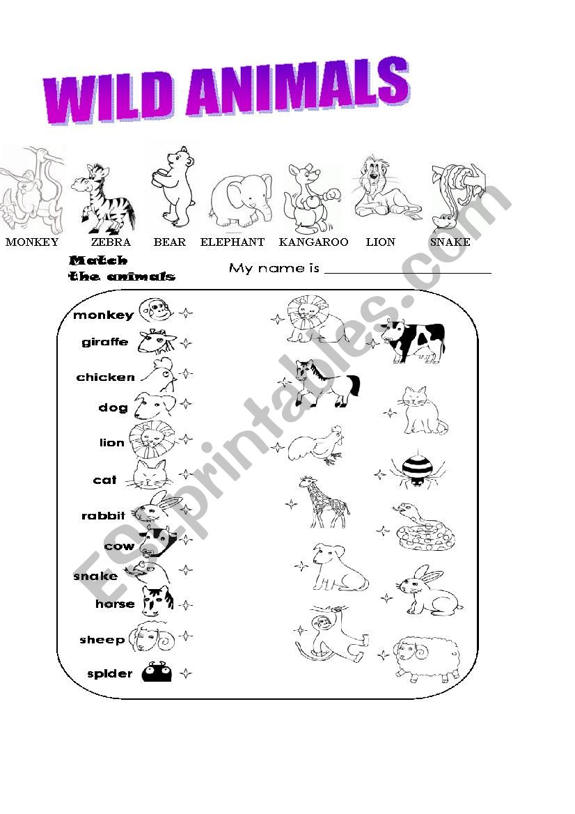 wild animals worksheet