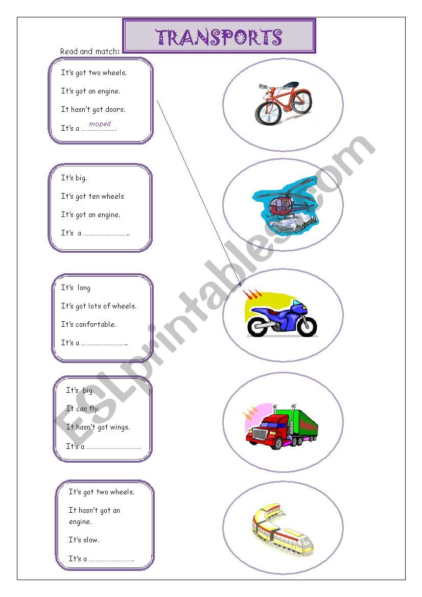 Transports worksheet