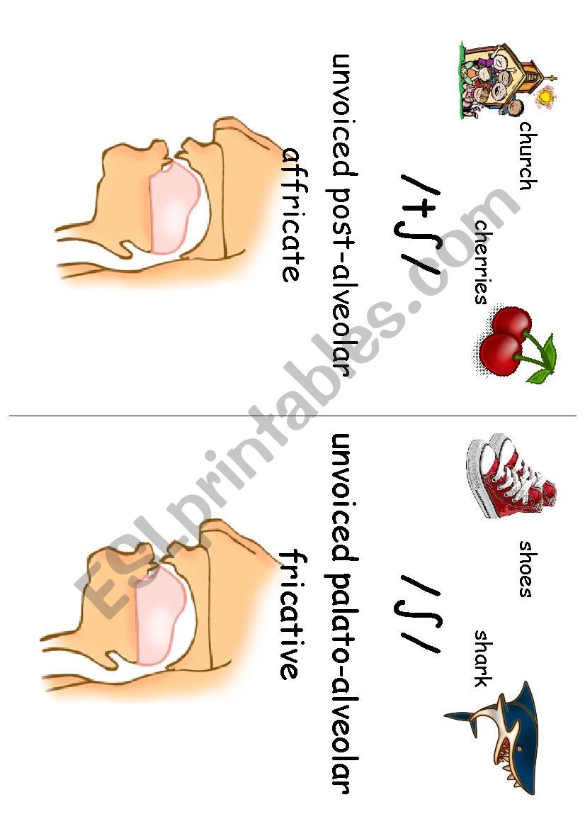 Sounds ch and sh pronunciation