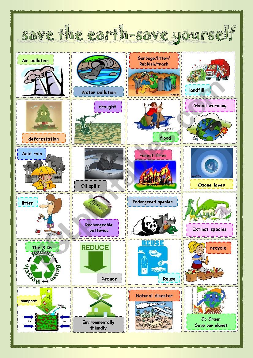 environment pictionary worksheet
