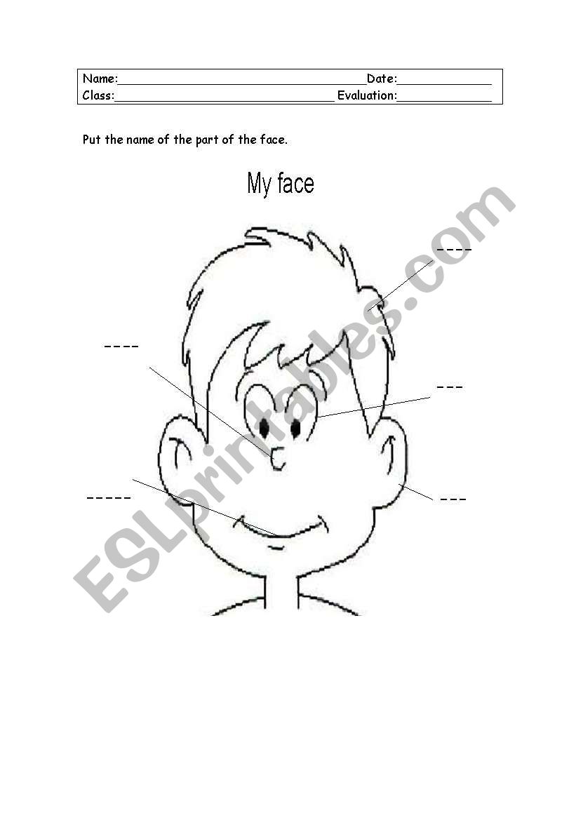 my face worksheet