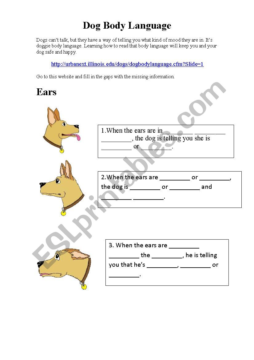 Dog Body Language worksheet