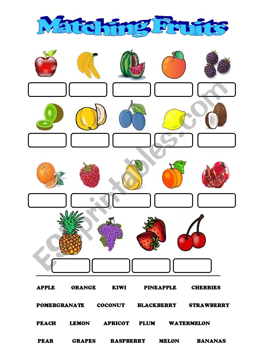 Matching fruits worksheet