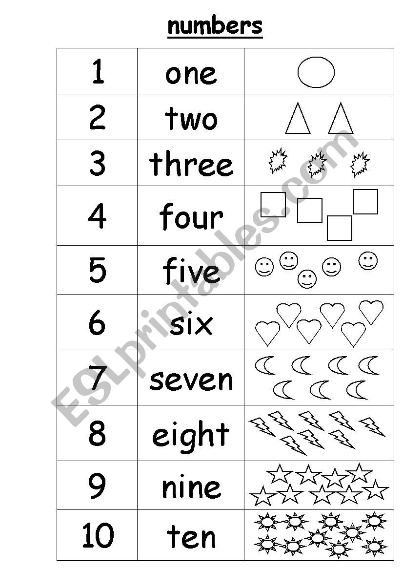 numbers worksheet worksheet