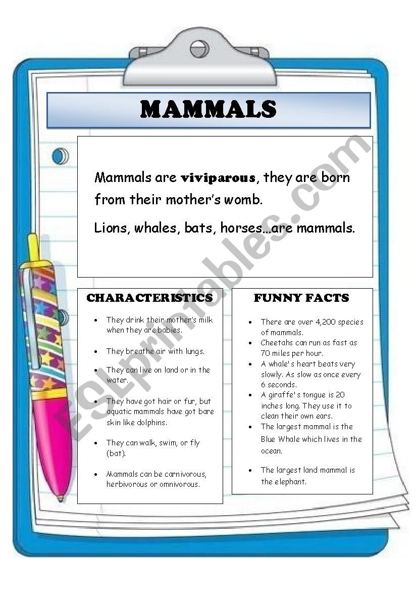 Reading comprehension. Mammals.