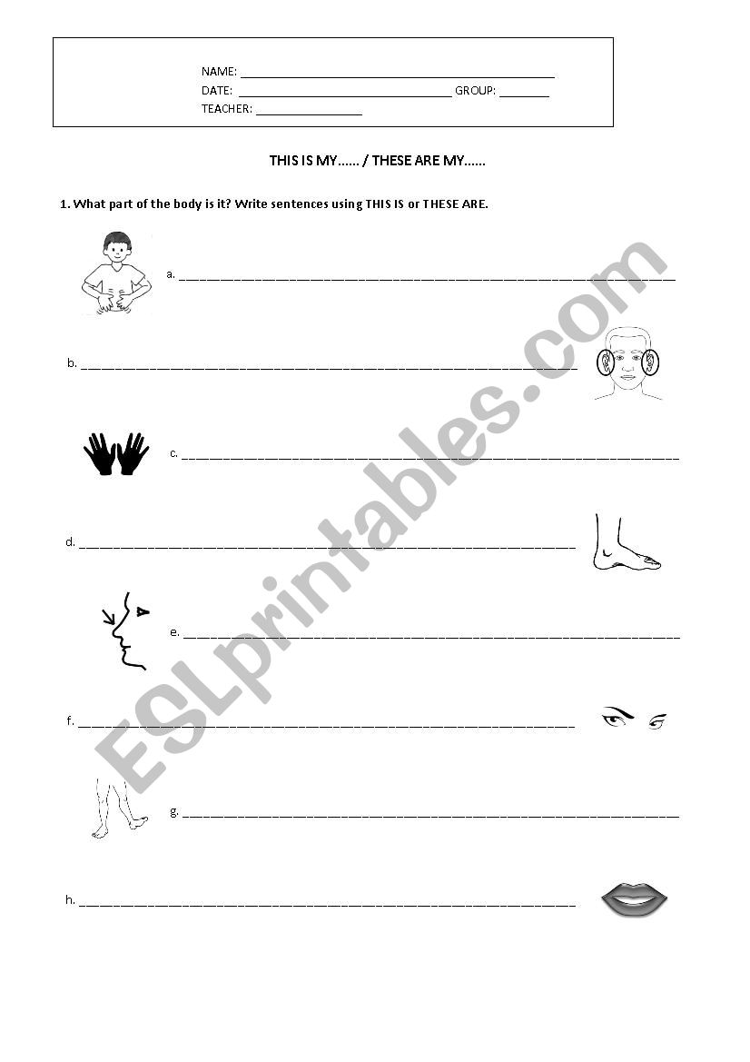 This is These are worksheet