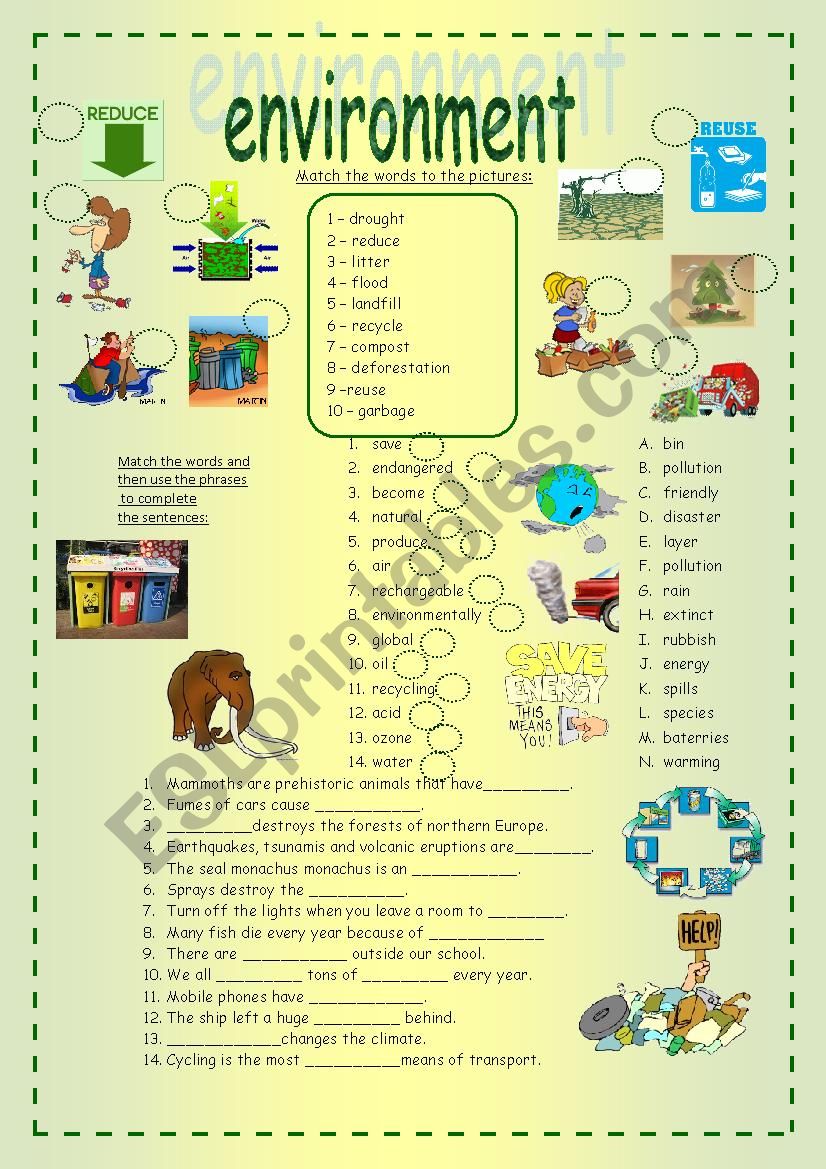 environment worksheet