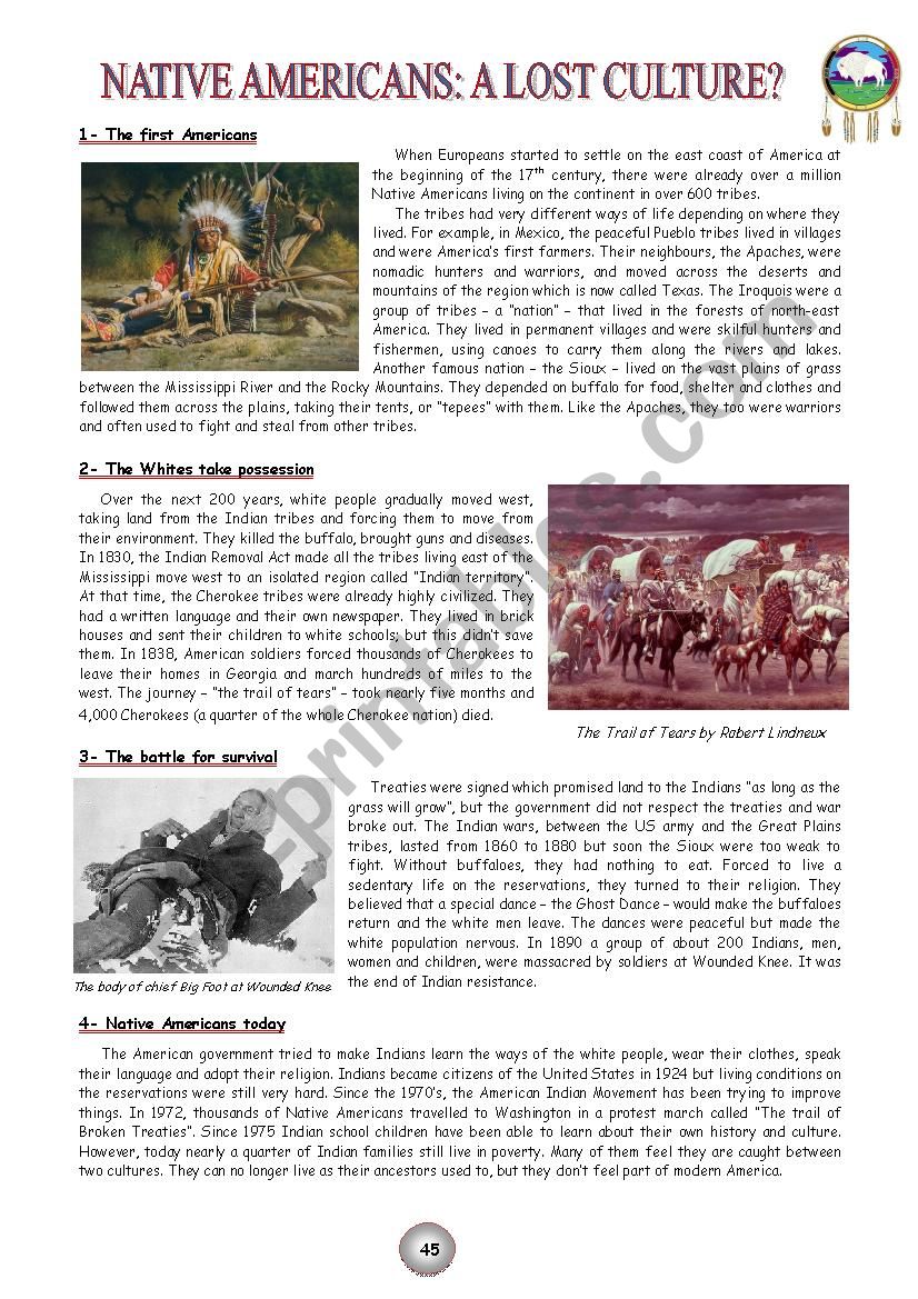Native Americans: a lost culture