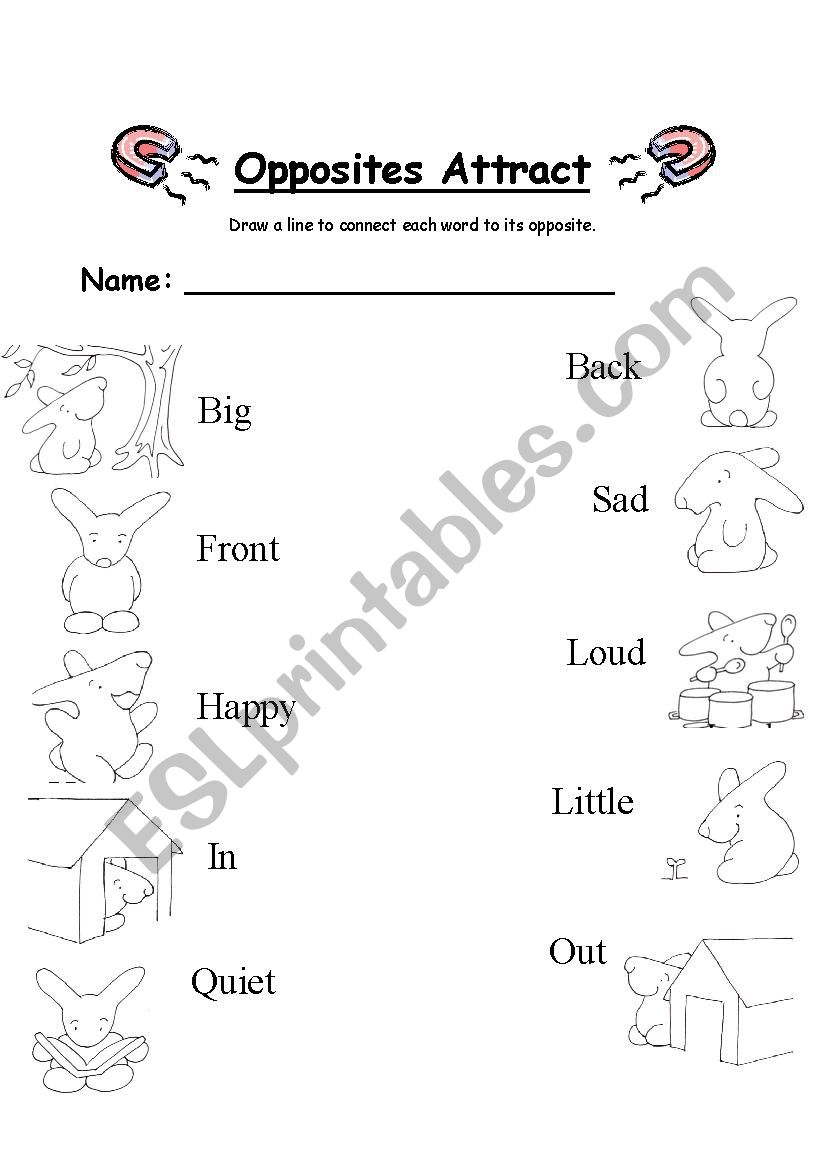 Opposites Attract worksheet