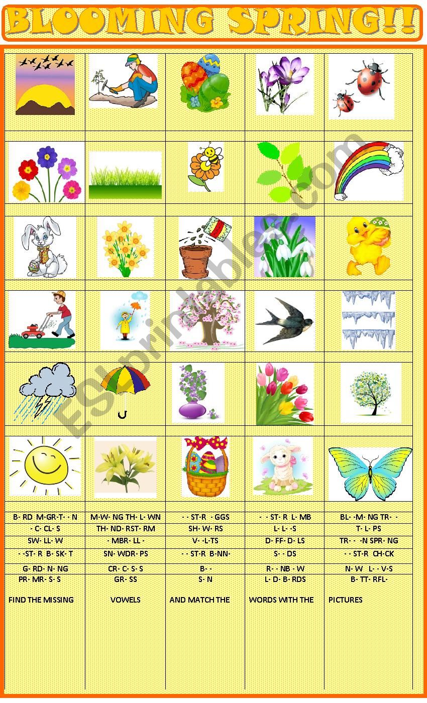 Spring : missing vowels and matching exercise 