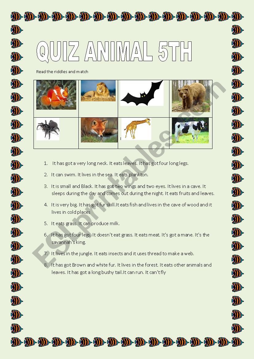 Animals riddles worksheet