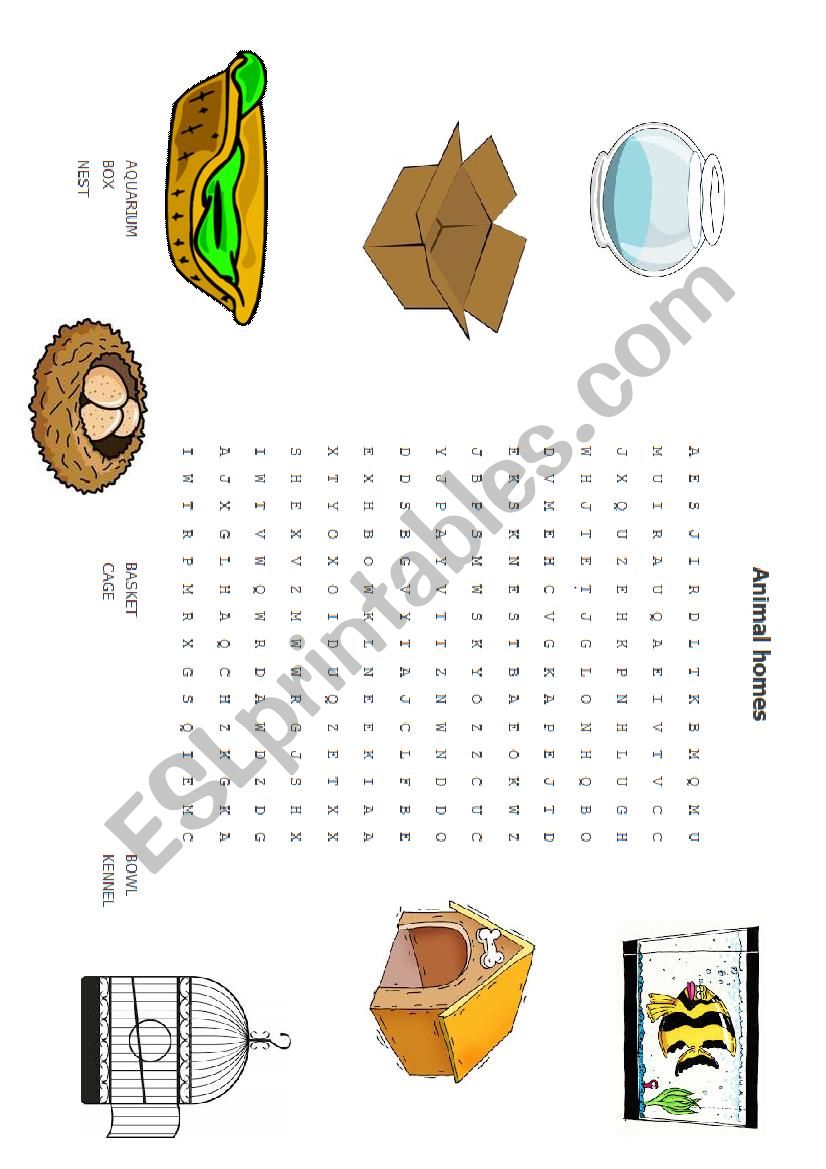 animal homes  worksheet