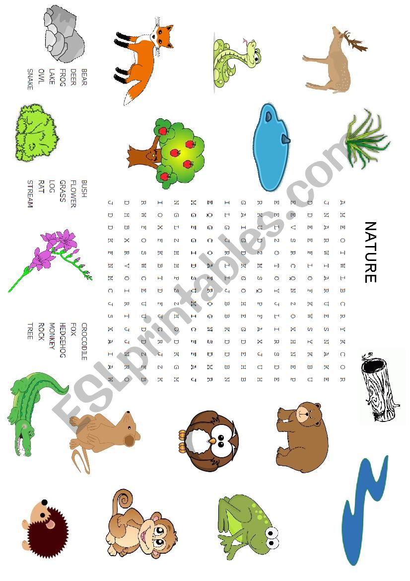 nature worksheet