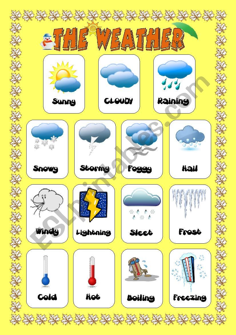 Weather worksheet