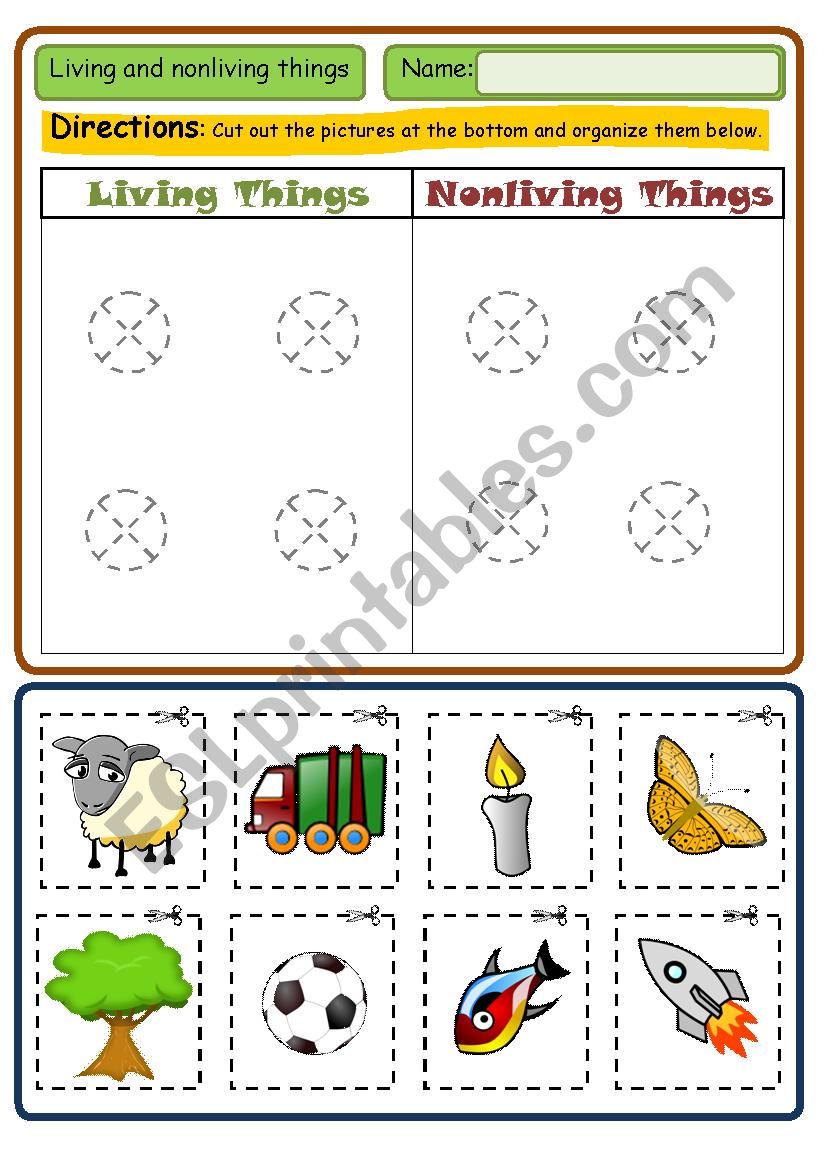 LIVING AND NON LIVING worksheet