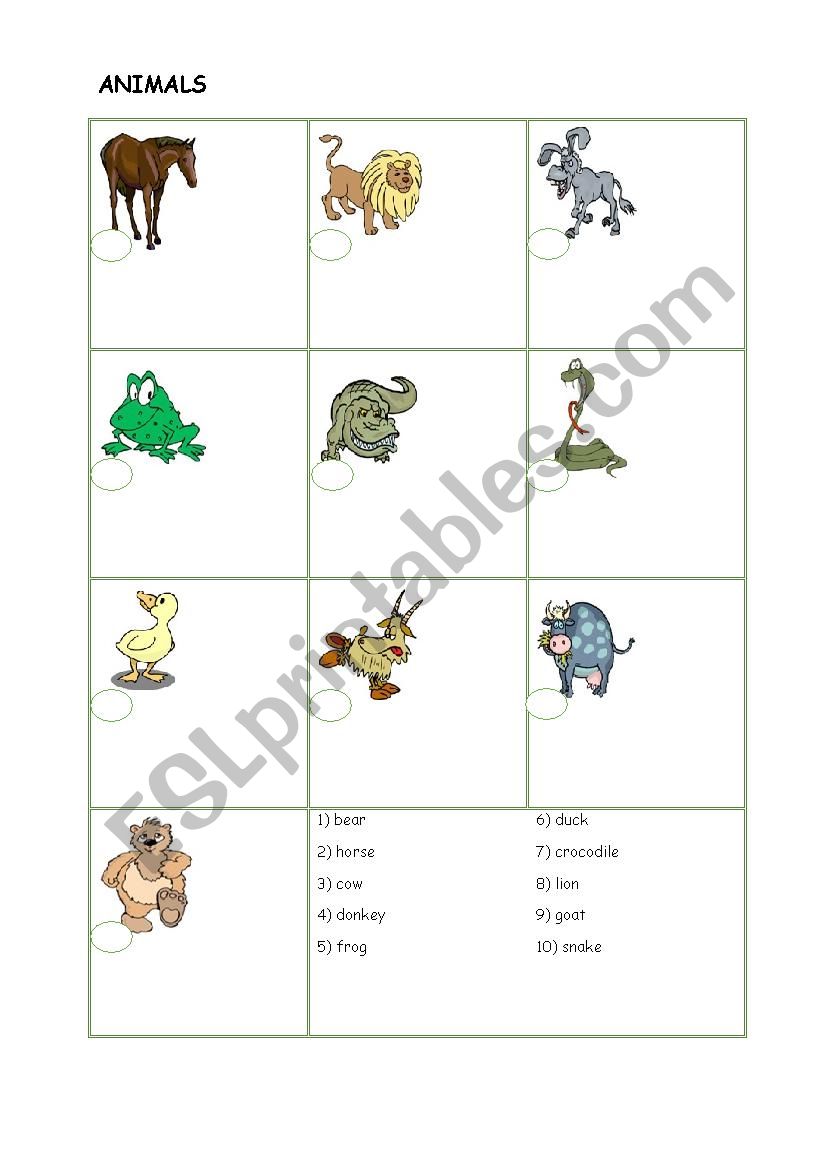 Animals worksheet