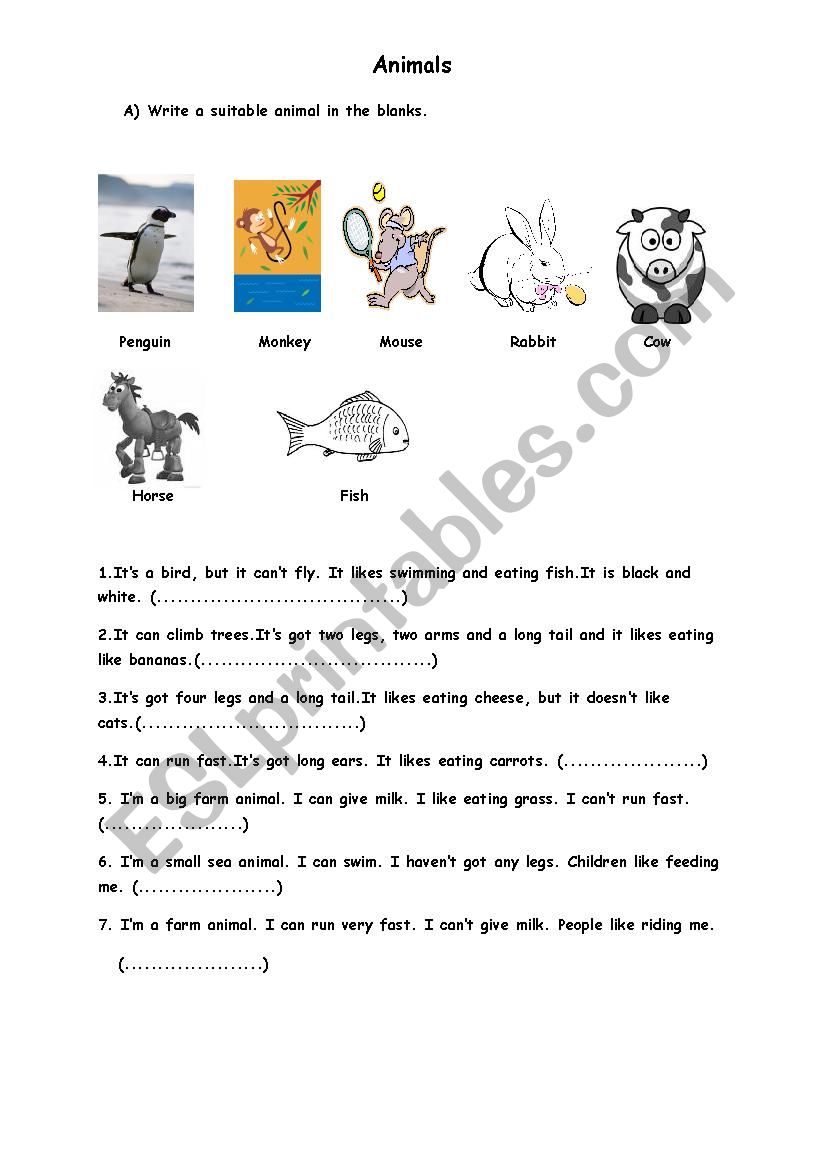 animals  worksheet