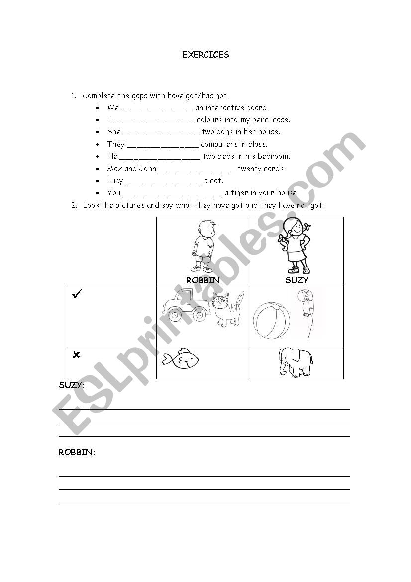 have/has got and can worksheet